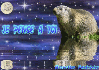 je pense a toi